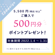 500円分ポイントプレゼントキャンペーン！